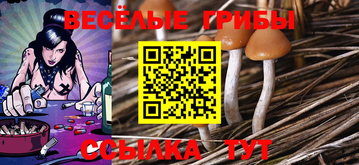 Галлюциногенные грибы Cubensis  Галлюциногенные грибы мицелий  купить  цена  Ульяновск  Вход с VPN 